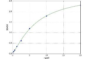 T-Box 3 (TBX3) ELISA Kit