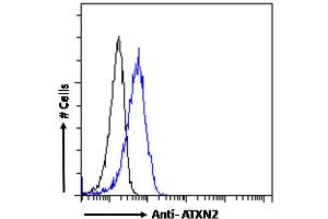 ABIN570879 Flow cytometric analysis of paraformaldehyde fixed A431 cells (blue line), permeabilized with 0. (Ataxin 2 antibody  (Internal Region))