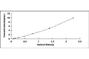 Typical standard curve (WNT3 ELISA Kit)