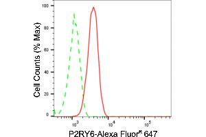 Flow cytometric analysis of P2RY6 expression in HT- cells using P2RY6 antibody (ABIN7800076), 1:2,000).