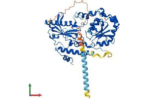 AlphaFold protein structure predicition of Human Recombinant FUT10 Protein, UniprotID Q6P4F1