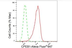 Flow cytometric analysis of CPEB1 expression in HepG2 cells using CPEB1 antibody (ABIN7798266), 1:2,000). (Recombinant CPEB1 antibody)