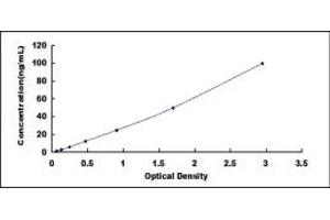 SLC7A11 ELISA Kit