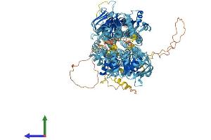 Protein Structure (PS) image for ATP-Binding Cassette, Sub-Family C (CFTR/MRP), Member 12 (ABCC12) (AA 1-1359) protein (His tag) (ABIN7554595)
