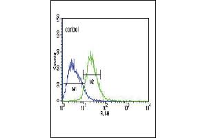 TXTP Antibody (Center) (ABIN651680 and ABIN2840357) flow cytometric analysis of Jurkat cells (right histogram) compared to a negative control cell (left histogram). (TXTP antibody  (AA 142-170))