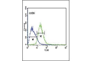 TXTP Antibody (Center) (ABIN651680 and ABIN2840357) flow cytometric analysis of Jurkat cells (right histogram) compared to a negative control cell (left histogram). (TXTP antibody  (AA 142-170))