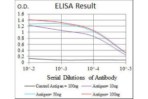 ELISA image for anti-Heat Shock Protein 90kDa alpha (Cytosolic), Class A Member 1 (HSP90AA1) antibody (ABIN1843961) (HSP90AA1 antibody)