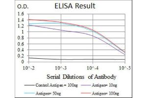 ELISA image for anti-Heat Shock Protein 90kDa alpha (Cytosolic), Class A Member 1 (HSP90AA1) antibody (ABIN1843961)