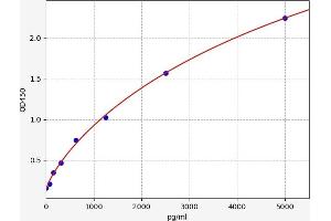 Chemokine (C-C Motif) Ligand 18 (Pulmonary and Activation-Regulated) (CCL18) ELISA Kit