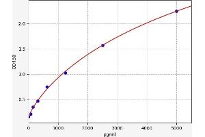 Typical standard curve (CCL18 ELISA Kit)