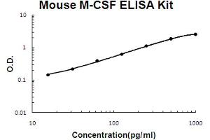 Mouse M-CSF Accusignal ELISA Kit Mouse M-CSF AccuSignal ELISA Kit standard curve. (M-CSF/CSF1 ELISA Kit)