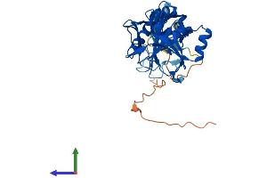 Protein Structure (PS) image for Phytanoyl-CoA 2-Hydroxylase Interacting Protein-Like (PHYHIPL) (AA 1-375) protein (His tag) (ABIN7558584)