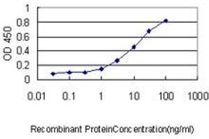ELISA image for anti-Notch 2 N-terminal Like (NOTCH2NL) (AA 1-236) antibody (ABIN567056)
