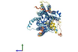 AlphaFold protein structure predicition of Mouse Recombinant Slc15a3 Protein, UniprotID Q8BPX9 (SLC15A3 Protein (AA 1-578) (His tag))