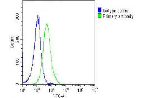 Overlay histogram showing Hela cells stained with Antibody (green line). (PPIB antibody  (AA 161-195))