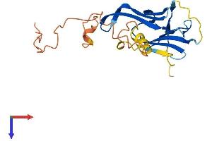 CRYAA Protein (AA 1-196) (His tag)