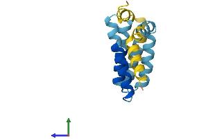 AlphaFold protein structure predicition of Human Recombinant GOLT1A Protein, UniprotID Q6ZVE7 (GOLT1A Protein (AA 1-132) (His tag))