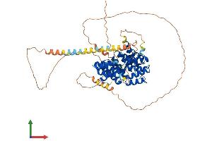 AlphaFold protein structure predicition of Mouse Recombinant Pex5l Protein, UniprotID Q8C437 (Peroxisomal Biogenesis Factor 5-Like (PEX5L) (AA 1-567) protein (His tag))