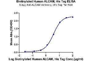 ELISA image for Activated Leukocyte Cell Adhesion Molecule (ALCAM) (AA 28-526) protein (His tag,Biotin) (ABIN7273816)