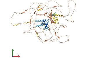 AlphaFold protein structure predicition of Human Recombinant NUTM2E Protein, UniprotID B1AL46 (FAM22E Protein (AA 1-878) (His tag))