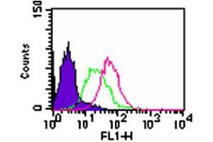 Intracellular flow analysis of Tlr3 in Balb/c mouse splenocytes. (TLR3 antibody  (AA 135-150))