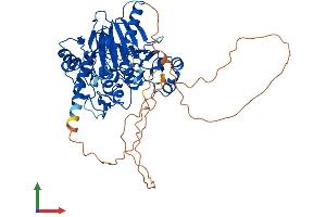 AlphaFold protein structure predicition of Human Recombinant DBR1 Protein, UniprotID Q9UK59 (DBR1 Protein (AA 1-544) (His tag))