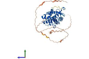 AlphaFold protein structure predicition of Human Recombinant HNF4A Protein, UniprotID P41235 (HNF4A Protein (AA 1-474) (His tag))