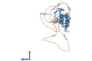 AlphaFold protein structure predicition of Human Recombinant TBX6 Protein, UniprotID O95947 (T-Box 6 Protein (TBX6) (AA 1-436) (His tag))