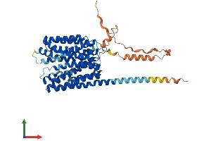 AlphaFold protein structure predicition of Mouse Recombinant Slc16a10 Protein, UniprotID Q3U9N9 (SLC16A10 Protein (AA 1-512) (His tag))