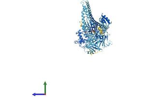 Protein Structure (PS) image for Myosin IC (MYO1C) (AA 1-1063) protein (His tag) (ABIN7565200)