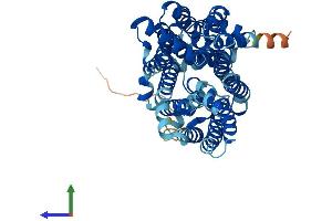 AlphaFold protein structure predicition of Human Recombinant SLC2A11 Protein, UniprotID Q9BYW1 (SLC2A11 Protein (AA 1-496) (His tag))