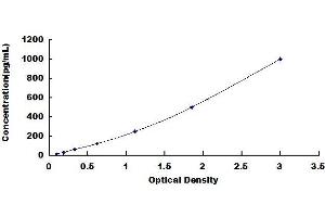 Typical standard curve (IL-15 ELISA Kit)