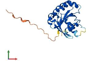 Protein Structure (PS) image for ADP-Ribosylation Factor-Like 16 (ARL16) (AA 1-197) protein (His tag) (ABIN7552301)