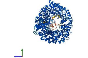 AlphaFold protein structure predicition of Human Recombinant TNPO2 Protein, UniprotID O14787 (TNPO2 Protein (AA 1-897) (His tag))