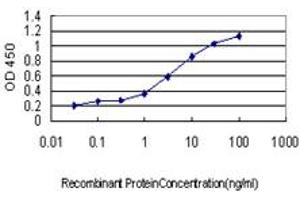 Detection limit for recombinant GST tagged ID1 is approximately 0. (ID1 antibody  (AA 1-155))