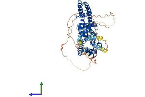 AlphaFold protein structure predicition of Mouse Recombinant Kcna6 Protein, UniprotID Q61923 (Kv1.6/KCNA6 Protein (AA 1-529) (His tag))