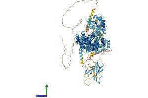 AlphaFold protein structure predicition of Mouse Recombinant Disp3 Protein, UniprotID A3KFU9 (PTCHD2 Protein (AA 1-1347) (His tag))