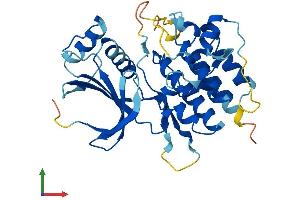 AlphaFold protein structure predicition of Mouse Recombinant Pdik1l Protein, UniprotID Q8QZR7