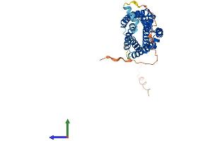 Protein Structure (PS) image for Pyrimidinergic Receptor P2Y, G-Protein Coupled, 4 (P2RY4) (AA 1-365) protein (His tag) (ABIN7550403)