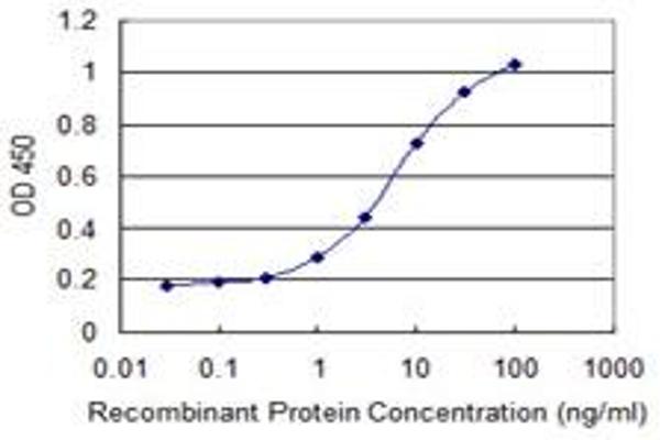 ISCA1 antibody  (AA 1-129)