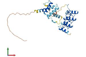 AlphaFold protein structure predicition of Human Recombinant ACBD6 Protein, UniprotID Q9BR61 (ACBD6 Protein (AA 1-282) (His tag))