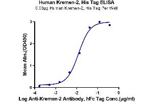 Immobilized Human Kremen-2, His Tag at 0. (KREMEN2 Protein (AA 26-364) (His tag))