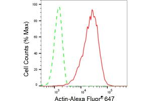 Flow cytometric analysis of Actin expression in C2C12 cells using Actin antibody (ABIN7797458), 1:2,000). (Recombinant Actin antibody)