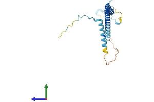 Protein Structure (PS) image for PDGFA Associated Protein 1 (PDAP1) (AA 1-181) protein (His tag) (ABIN7557201)