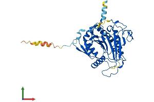 AlphaFold protein structure predicition of Mouse Recombinant Galt Protein, UniprotID Q03249 (GALT Protein (AA 1-379) (His tag))