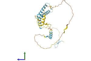 AlphaFold protein structure predicition of Mouse Recombinant Ociad1 Protein, UniprotID Q9CRD0