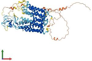 AlphaFold protein structure predicition of Mouse Recombinant Slco3a1 Protein, UniprotID Q8R3L5 (Solute Carrier Organic Anion Transporter Family, Member 3A1 (SLCO3A1) (AA 1-710) protein (His tag))