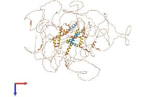 AlphaFold protein structure predicition of Human Recombinant SPATA31A3 Protein, UniprotID Q5VYP0 (SPATA31A3 Protein (AA 1-1347) (His tag))