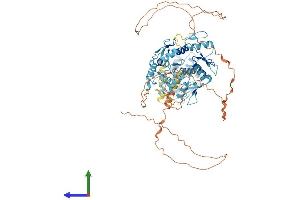 AlphaFold protein structure predicition of Human Recombinant ZBTB48 Protein, UniprotID P10074