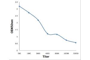 Antigen: 0. (Crk antibody  (pTyr221))